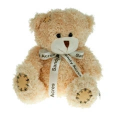  Lifestyle - Bears - 2