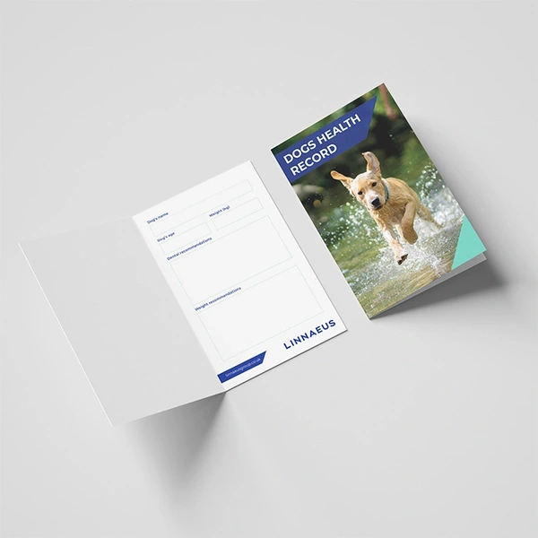  Businesscards - Folded8 - 700px