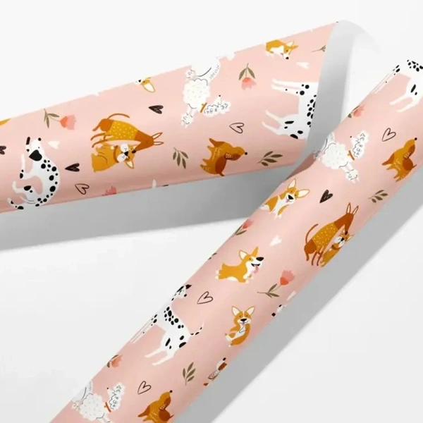  Packaging - Accessories - 700px - 11